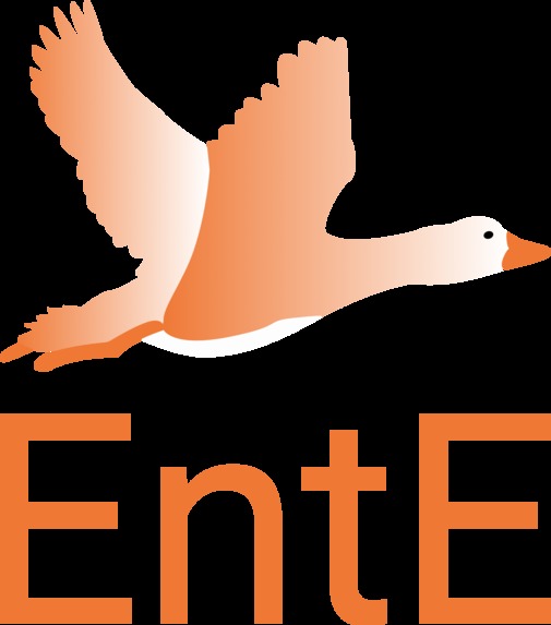 EntE – screenshot 2