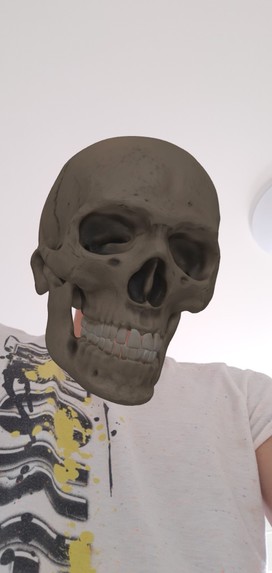 AR Bobble-Skull – screenshot 2