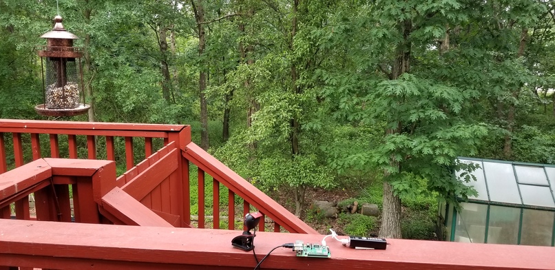 BirdCam – screenshot 1