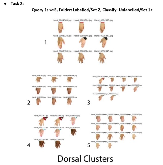 Hand-Image-Analysis – screenshot 1