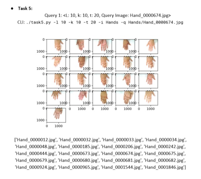 Hand-Image-Analysis – screenshot 3