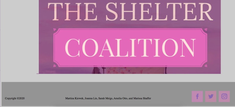 The Shelter Coalition – screenshot 6