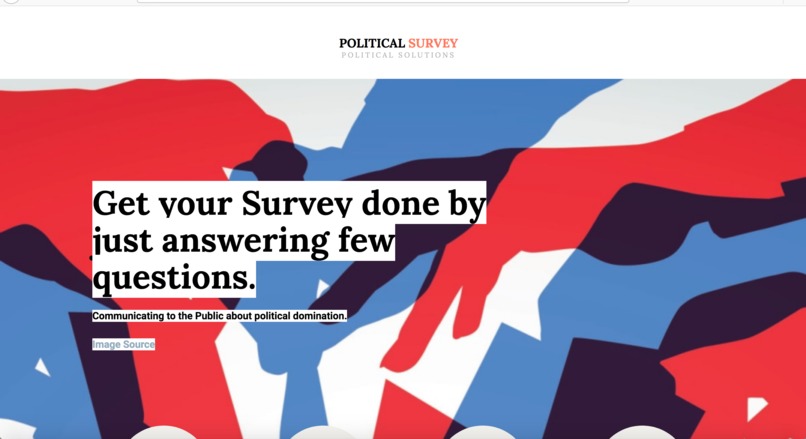 Political Survey – screenshot 1