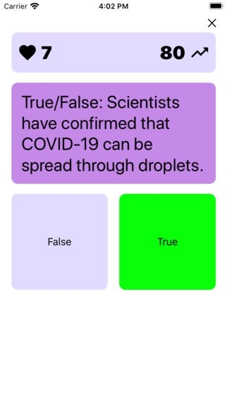 The Quarantine Quiz – screenshot 4