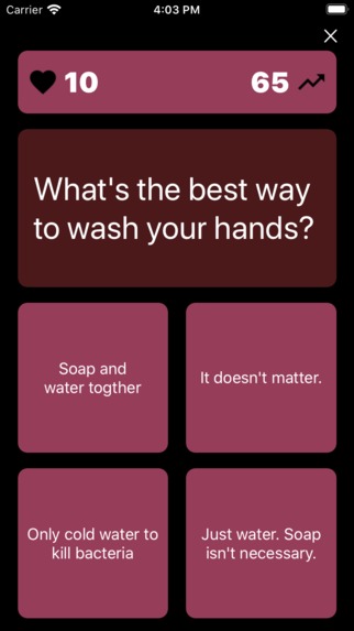The Quarantine Quiz – screenshot 7