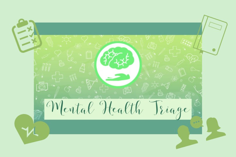 Mental Health Triage – screenshot 2
