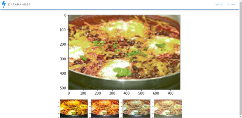 DataPaneer – screenshot 2