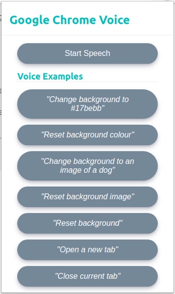 Google Chrome Voice – screenshot 1