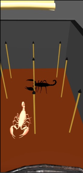 The Castle Of Knowledge – screenshot 2