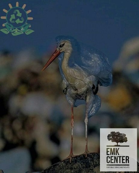 Digital vangariwala – screenshot 2