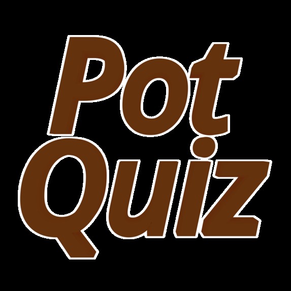 Pot Quiz – screenshot 1