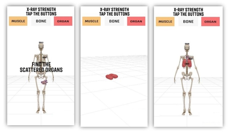 Anatomy for Real – screenshot 2