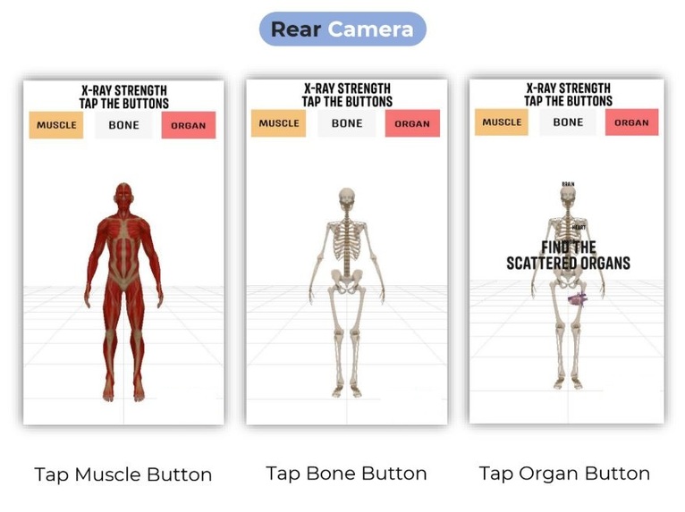 Anatomy for Real – screenshot 3