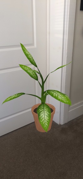 Plants at Home – screenshot 2
