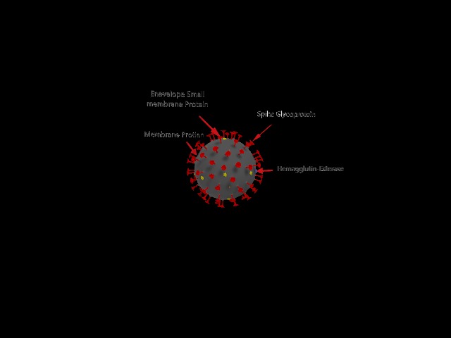 Corona Learner – screenshot 1
