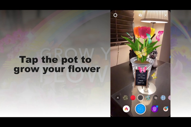 Grow your flower – screenshot 3