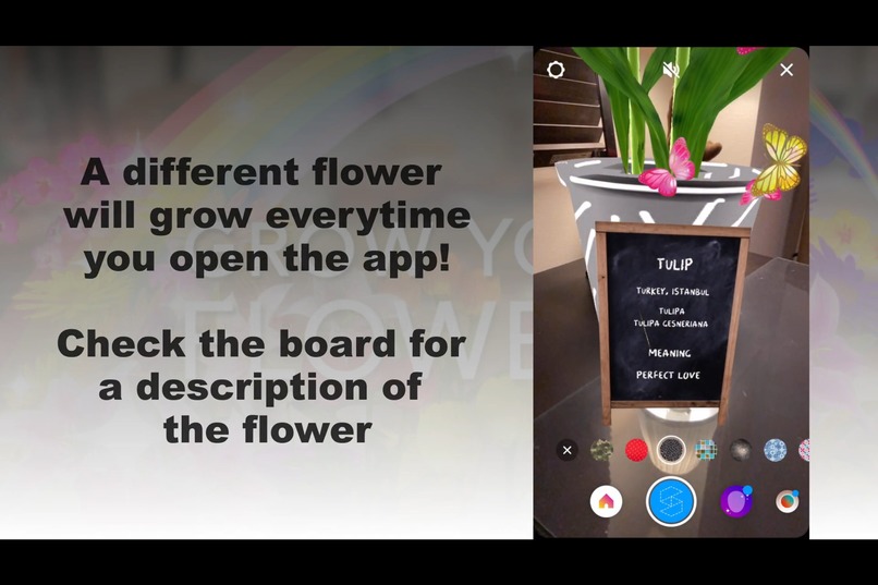 Grow your flower – screenshot 6