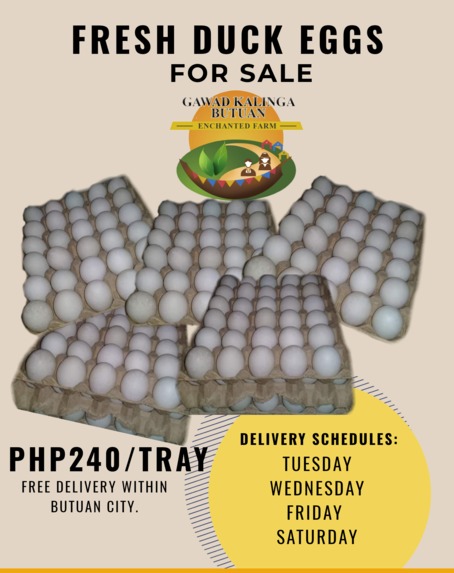 MANG ITLOG by GK Butuan Enchanted Farm (Team 104) – screenshot 4