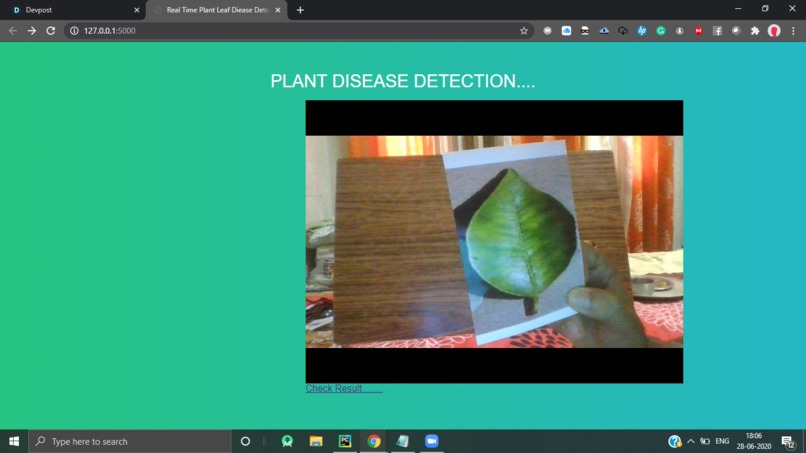Plant buddy – screenshot 1