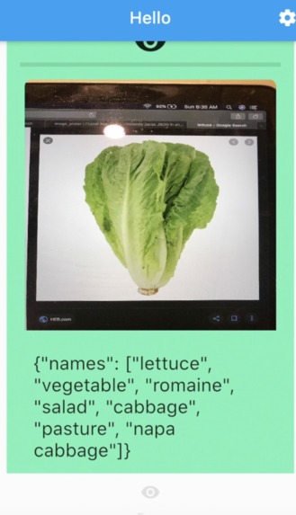 MobileEyez – screenshot 5