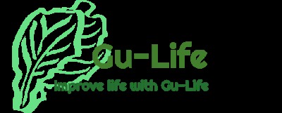 Team 116: Gu-Life – screenshot 1