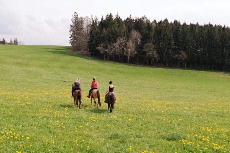 Active Parents Active Kids – screenshot 2