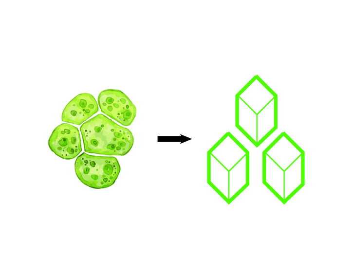 A greener box for a greener planet – screenshot 1