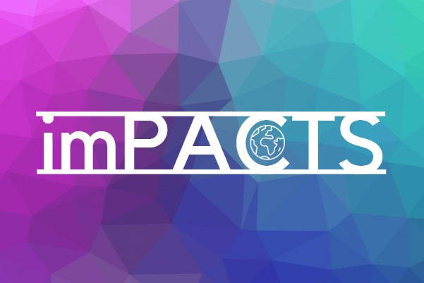 GGC Team 8 -  imPACTS – screenshot 4
