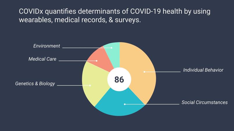 COVIDx – screenshot 2