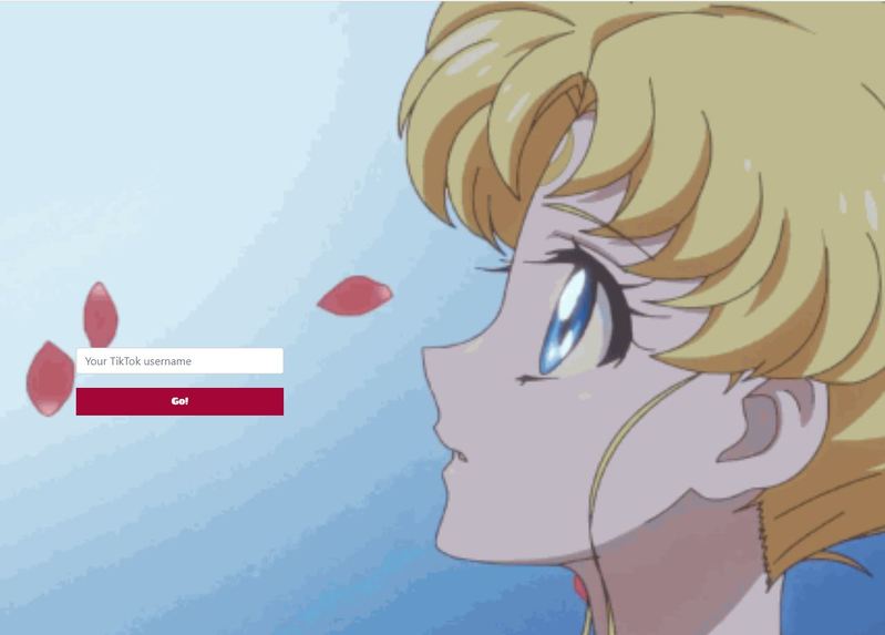 TikTok Fitness App – screenshot 4