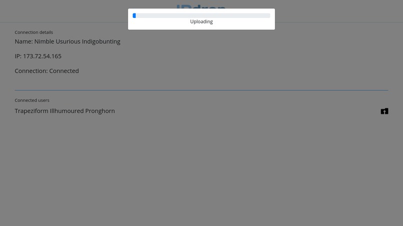 IPdrop – screenshot 2