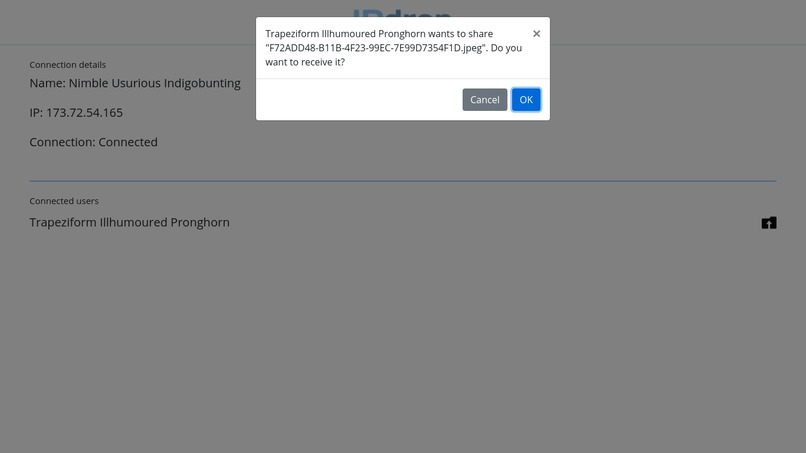 IPdrop – screenshot 3