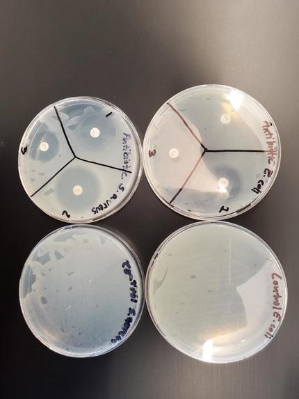 Antimicrobial Filament for 3D printing – screenshot 1