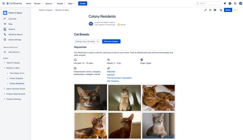 Ronin Reports – screenshot 6