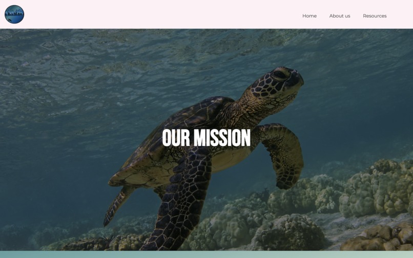 Project Oogway – screenshot 3
