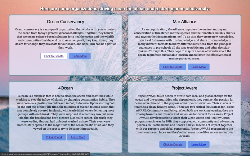 Project Oogway – screenshot 10