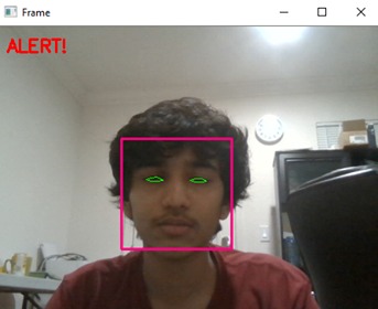 DriveSafe: AI Driving Assistant – screenshot 1