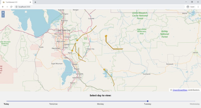 Tumbleweed GO – screenshot 3