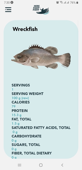 Here Fishy Fishy – screenshot 5