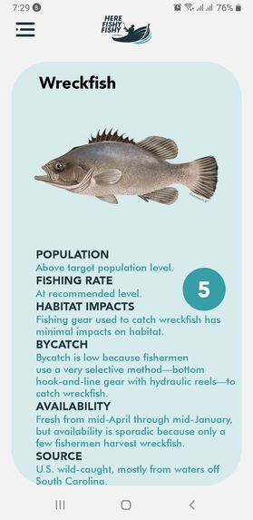 Here Fishy Fishy – screenshot 4