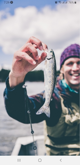 Here Fishy Fishy – screenshot 2