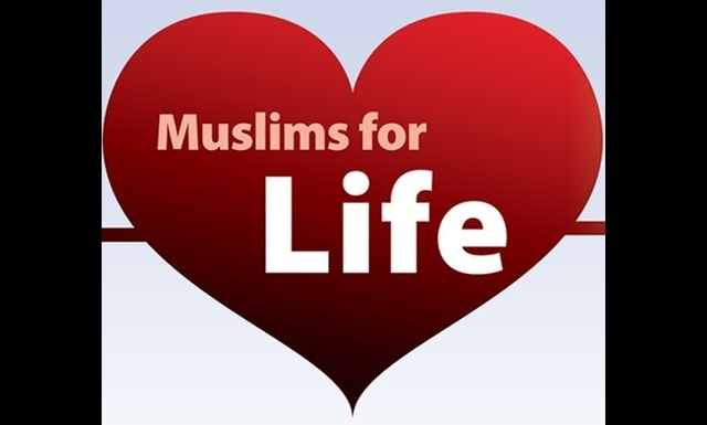 muslimlife.com – screenshot 1