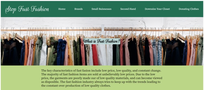 Stop Fast Fashion – screenshot 1