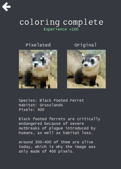 recovocolor – screenshot 3