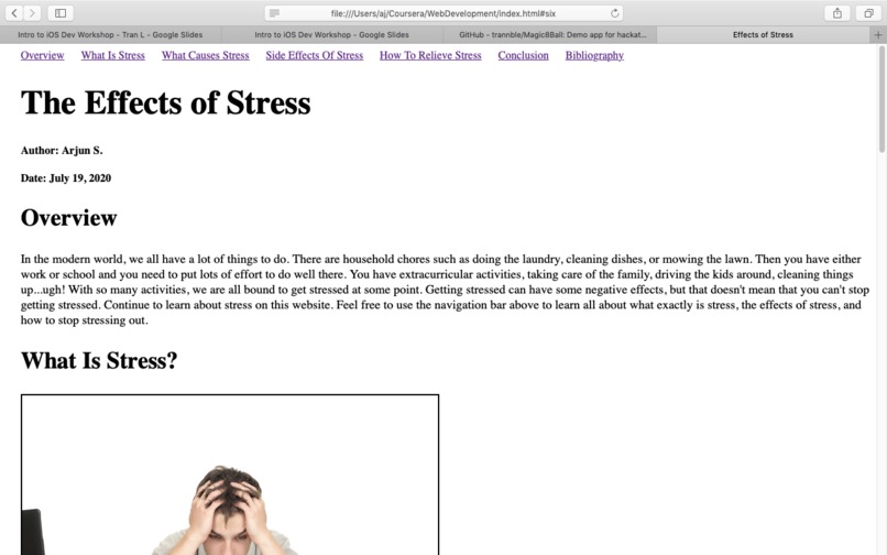 Effects Of Stress Website – screenshot 1