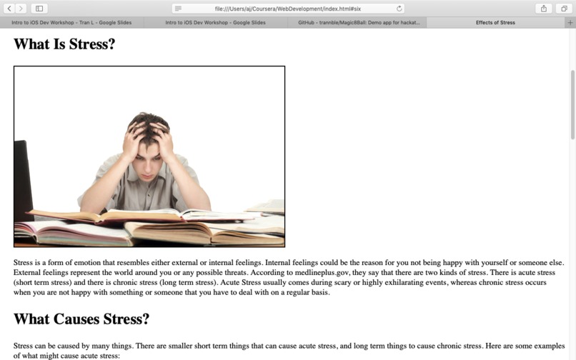 Effects Of Stress Website – screenshot 3