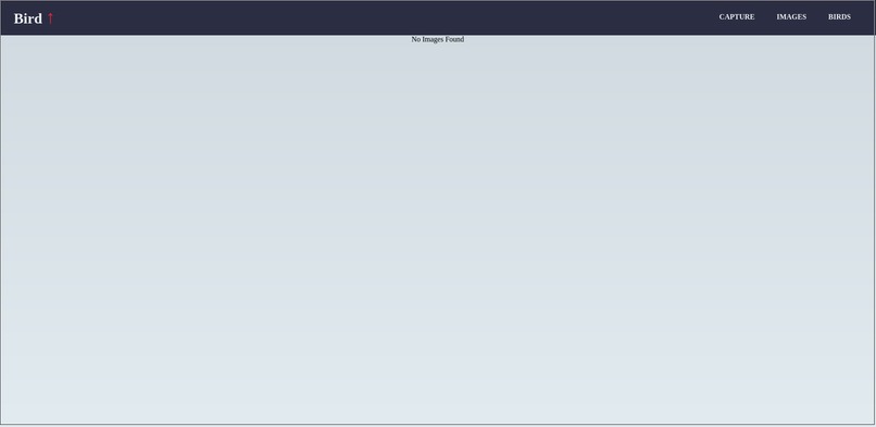 BirdUp (Bird ↑) – screenshot 3