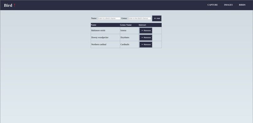BirdUp (Bird ↑) – screenshot 4