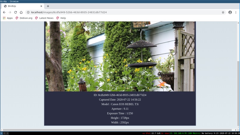 BirdUp (Bird ↑) – screenshot 6