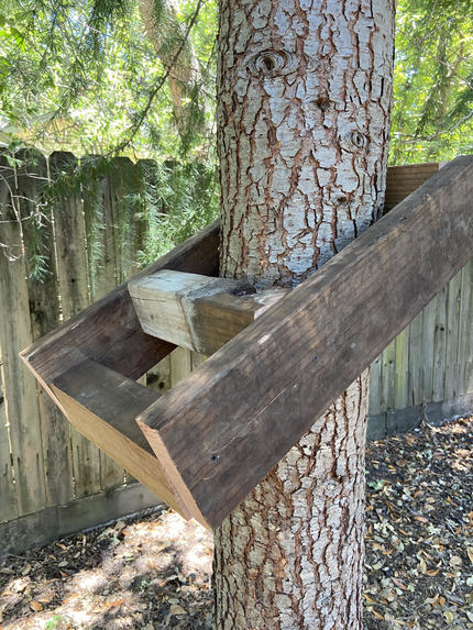 Hack My Tree House – screenshot 30